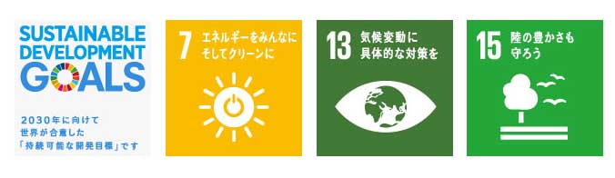 sdgs